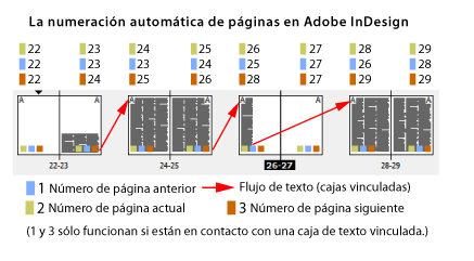 Esquema del funcionamiento de la numeración automática en Adobe InDesign.