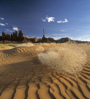 Tumble Weed Dunes, (c) Michael H. Reichmann