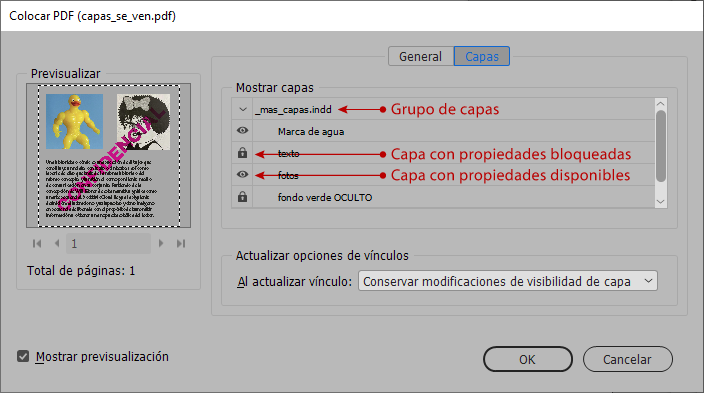 Las propiedades de algunas capas de PDF están bloqueadas en InDesign.
