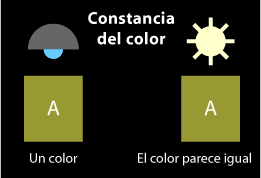 Esquema de qué es la constancia del color.