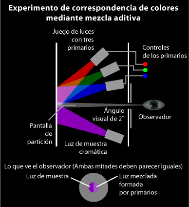 Asi se hizo el experimento CIE de 1931