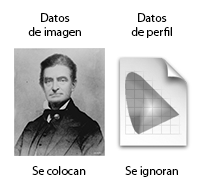 Adobe InDesign CC ignora los datos de los perfiles de color escala de grises.