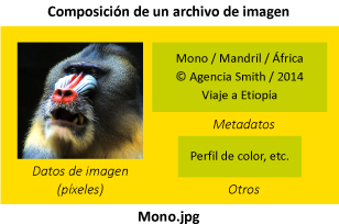 La composición de una imagen puede incluir metadatos.
