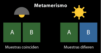 Esquema de qué es metamerismo.
